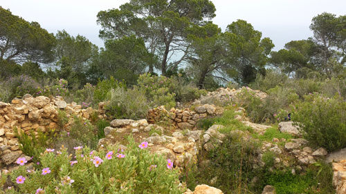 Yacimiento arqueológico de Cap des Llibrell